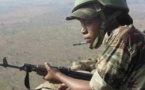 L'armée du Nigeria a tué "un grand nombre" de terroristes
