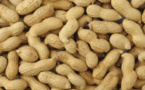 Une bonne raison de manger des cacahuètes Une bonne raison de manger des cacahuètes