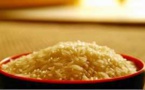 La SAED annonce une production record de 430 000 tonnes de riz