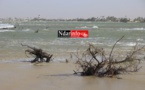 Le Sénégal et la montée des eaux : une erreur humaine accentuée par les changements climatiques