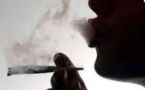 Forte consommation de drogue en milieu scolaire : Les élèves accros au chanvre
