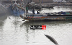 ALERTE : les piroguiers heurtent la conduite d’eau de Guet-Ndar (photos) ALERTE : les piroguiers heurtent la conduite d’eau de Guet-Ndar (photos)