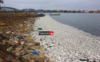 DESASTRE: des milliers de poissons morts jetés sur le fleuve à Saint-Louis (Photos)