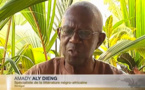 HOMMAGE À   AMADY ALY DIENG : ADIEU MAÎTRE ! Par Alpha Amadou SY