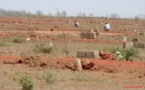 La longue liste des hommes à hectares
