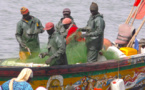 Emprise de BP sur "Diatara" : les pêcheurs de Saint-Louis étalent leurs souffrances ...