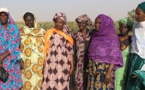 Campagne agricole 2024/2025 : une part conséquente du financement accordée aux femmes