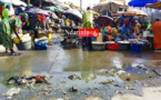 SAINT-LOUIS : le marché aux poissons est un royaume de rats. SAINT-LOUIS : le marché aux poissons est un royaume de rats.