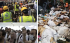 Bousculade à la Mecque : Au moins 15 Sénégalais parmi les victimes, précise Mansour Diop de Zik Fm.Regardez Bousculade à la Mecque : Au moins 15 Sénégalais parmi les victimes, précise Mansour Diop de Zik Fm.Regardez