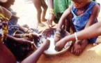 Pauvreté et insécurité alimentaire au Sénégal: 30% des ménages en milieu rural touchés Pauvreté et insécurité alimentaire au Sénégal: 30% des ménages en milieu rural touchés