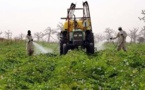 Agriculture dans la vallée du fleuve sénégal : La coopération espagnole accorde une rallonge de 250 millions de FCfa au Psdar