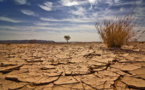 Changement climatique : La 8ème édition du Forum PRCM est lancée à Praia !