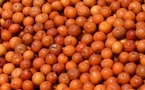 Les bienfaits du jujube : un superfruit aux multiples vertus pour la santé