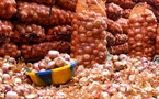 Le Sénégal gèle les importations d’oignon à partir du 25 janvier