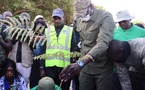 Lancement de la grande muraille verte de Saint-Louis : 500.000 arbres seront plantés sur 1200 hectares Lancement de la grande muraille verte de Saint-Louis : 500.000 arbres seront plantés sur 1200 hectares