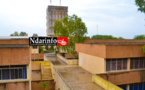 UGB : ces cafards qui agitent la colère des étudiants. UGB : ces cafards qui agitent la colère des étudiants.