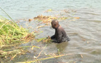 Inaccessibilité du plan d’eau à Bango : les pêcheurs tirent sur l’OLAC