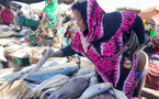 Marché Sor : Les vendeuses de poisson crient leur ras-le-bol et réclament un nouveau site