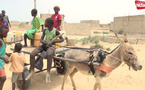 Pénurie d’eau à Khar Yalla : les enfants remplacent l’école par la quête du précieux liquide