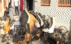 Cité Niakh : un incendie ravage un conteneur de 63 millions FCFA