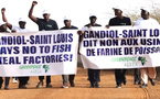 Usines de farine de poisson : à Gandiol, Greenpeace et les riverains dénoncent un désastre écologique