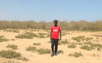 Saint-Louis : À Guembeul, les jeunes désertent des champs devenus stériles