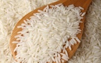 Riz local : un accord signé pour fixer le prix du kilogramme à 350 francs CFA