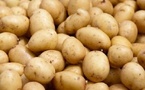 Sénégal : gel des importations de pomme de terre et d’oignon