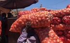 Dagana : La gendarmerie de Rosso saisit 9 tonnes d'oignons destinées à la Mauritanie