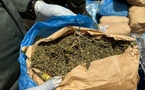 Kaffrine : Saisie de 1,6 kg de chanvre indien et arrestation d'un sexagénaire à Ndiok