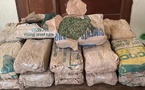 Saly : 23 kg de chanvre indien saisis lors d'un contrôle de routine