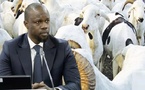 Tabaski 2026 : Ousmane Sonko ordonne l'exonération des taxes sur les moutons