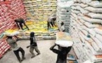 Importation : AfricaRice met en garde contre le riz importé