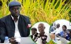 Filière riz : Le CIRIZ lance son plan d'action triennal 2026-2028 pour la souveraineté alimentaire