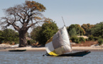 Non à la mort programmée du fleuve Sénégal et de ses affluents. Par Dr Ousmane Aly PAME