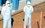 OMS : le virus Ebola circulait dès février en RDC, avant sa détection