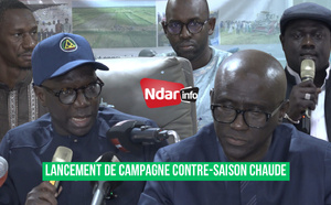 Saint-Louis : Mabouba Diagne préside le lancement de la campagne rizicole de saison sèche 2026
