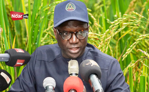 Souveraineté alimentaire : Le défi de la productivité lancé aux riziculteurs de la vallée