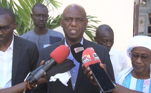 Offensive Ville Verte : Saint-Louis et Rastatt investissent 300 millions pour 5 300 arbres