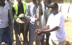 Saint-Louis : MicroSoleil forme 35 producteurs de Guelack à la technique du biochar