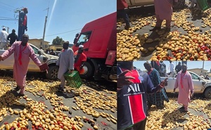 Maraîchers des Niayes en colère : La commercialisation du riz et de l'oignon bloquée