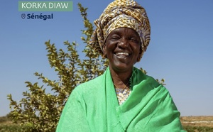 Portrait : Korka Diaw, la lionne du riz local dans la vallée du fleuve Sénégal