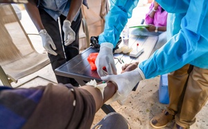 Santé publique : Trois décès et 39 cas de FVR enregistrés dans la région de Fatick