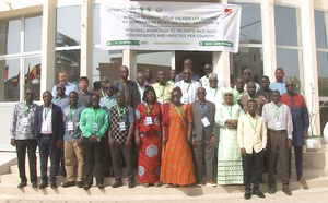 Programme REWARD : Vers une feuille de route pour les semences de riz en Afrique de l’Ouest