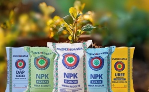 Campagne agricole 2026 : 125 000 tonnes d'engrais déjà disponibles au Sénégal