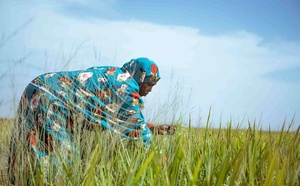 Filière Riz : Le FONGIP injecte 1,7 milliard de FCFA pour booster la production