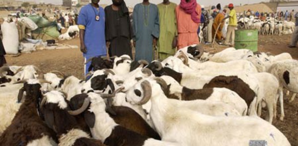 La tabaski fêtée le 12 septembre (astronome)