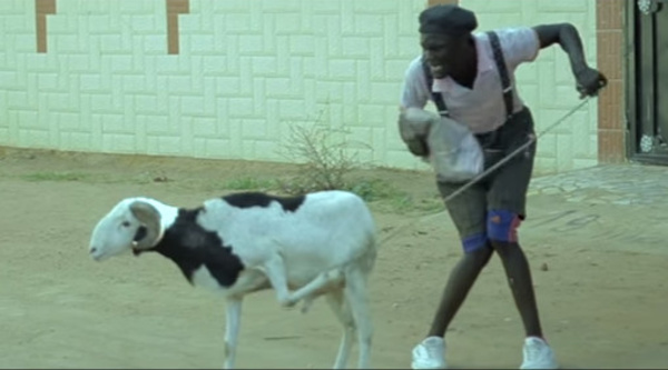 TABASKI: Les stratégies masculines de l’«évitement financier»