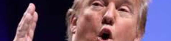 DONALD TRUMP À YAYA JAMMEH : " quitte le pouvoir si tu veux pas mourir" 