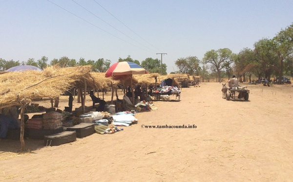 Makacolibantan: un berger qui a ramassé un fusil dans la brousse, s’est tiré une balle dans la main.